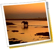 panorama miasta dla podróży - Botswana, pogoda, kod telefonu, galerie zdjęć