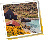 panorama miasta dla podróży - Falklandy (Malwiny), pogoda, kod telefonu, galerie zdjęć