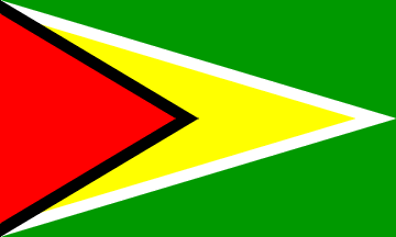 Flaga narodowa, Gujana