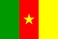 Flaga narodowa, Kamerun