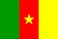 Flagi państw świata: Kamerun