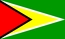 Flaga narodowa, Gujana