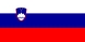 Flaga narodowa, Słowenia